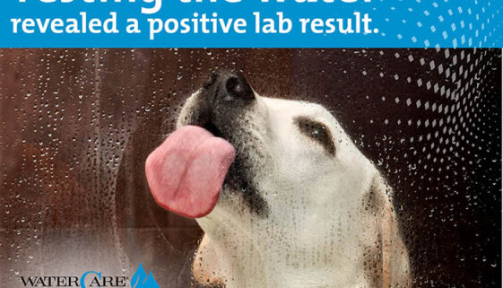 Positive Lab Results